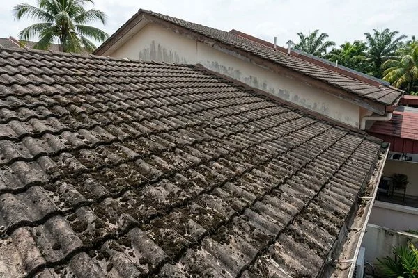 Before Roof Cleaning & Coating