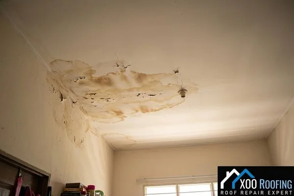 Before Roof Leak Repair